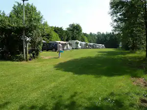 Grüner Rasen auf dem Campingplatz, daneben ein Auto und mehrere Wohnwagen mit Vorzelten zwischen Bäumen.