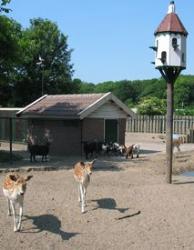 Camping De Krabbeplaat