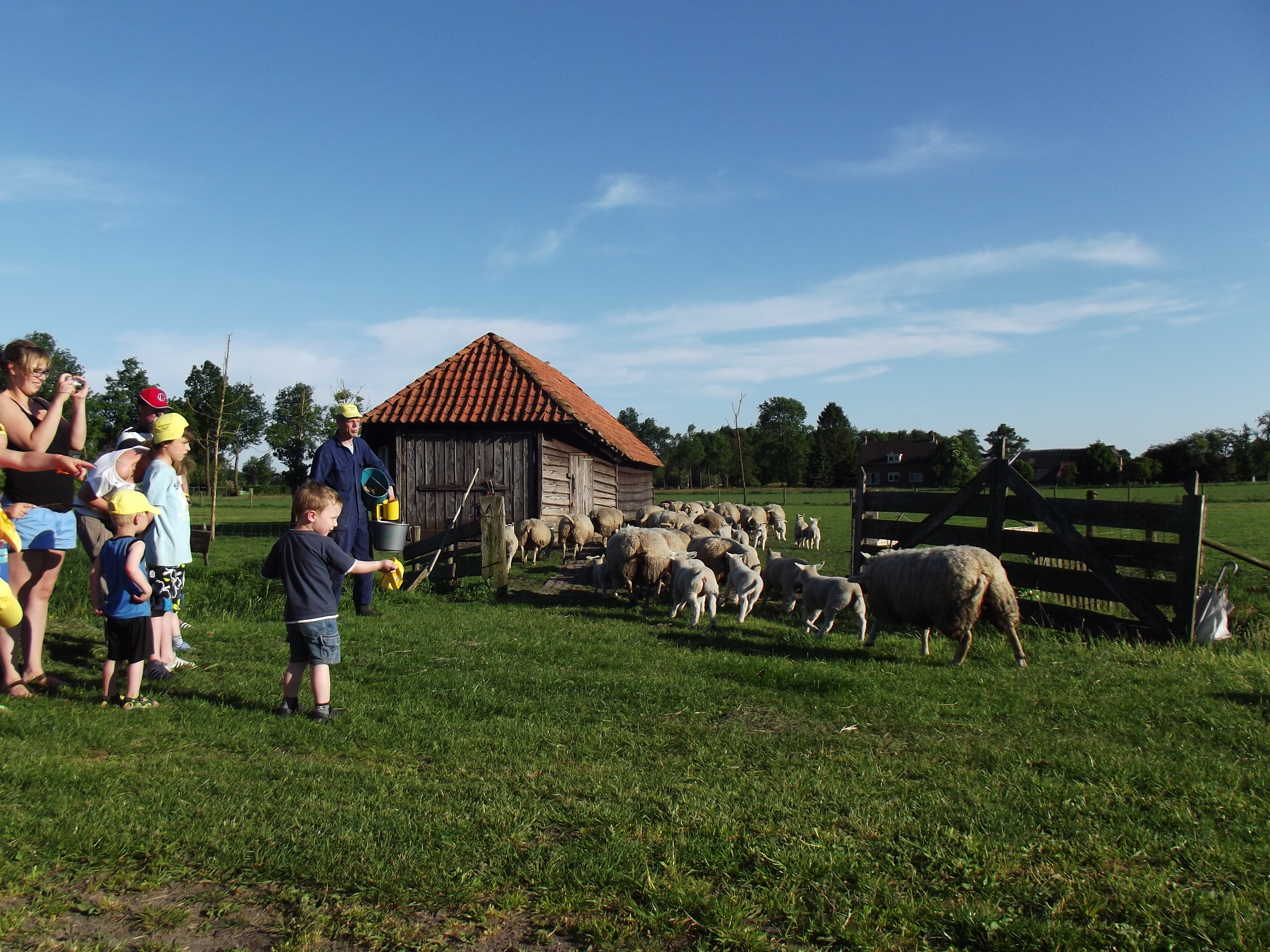 Camping De Kuupershoek