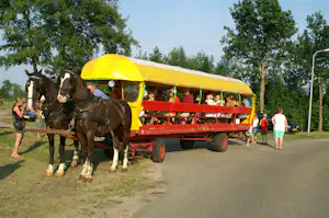Pferdekutsche mit gelbem Zeltdach, Kinder sitzen auf der roten Ladefläche am Wegesrand im Grünen.