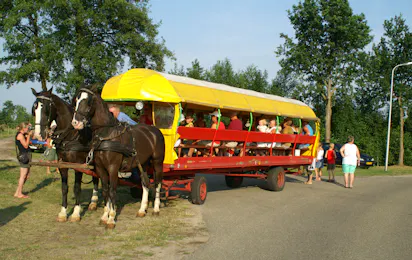 Camping De Kuupershoek