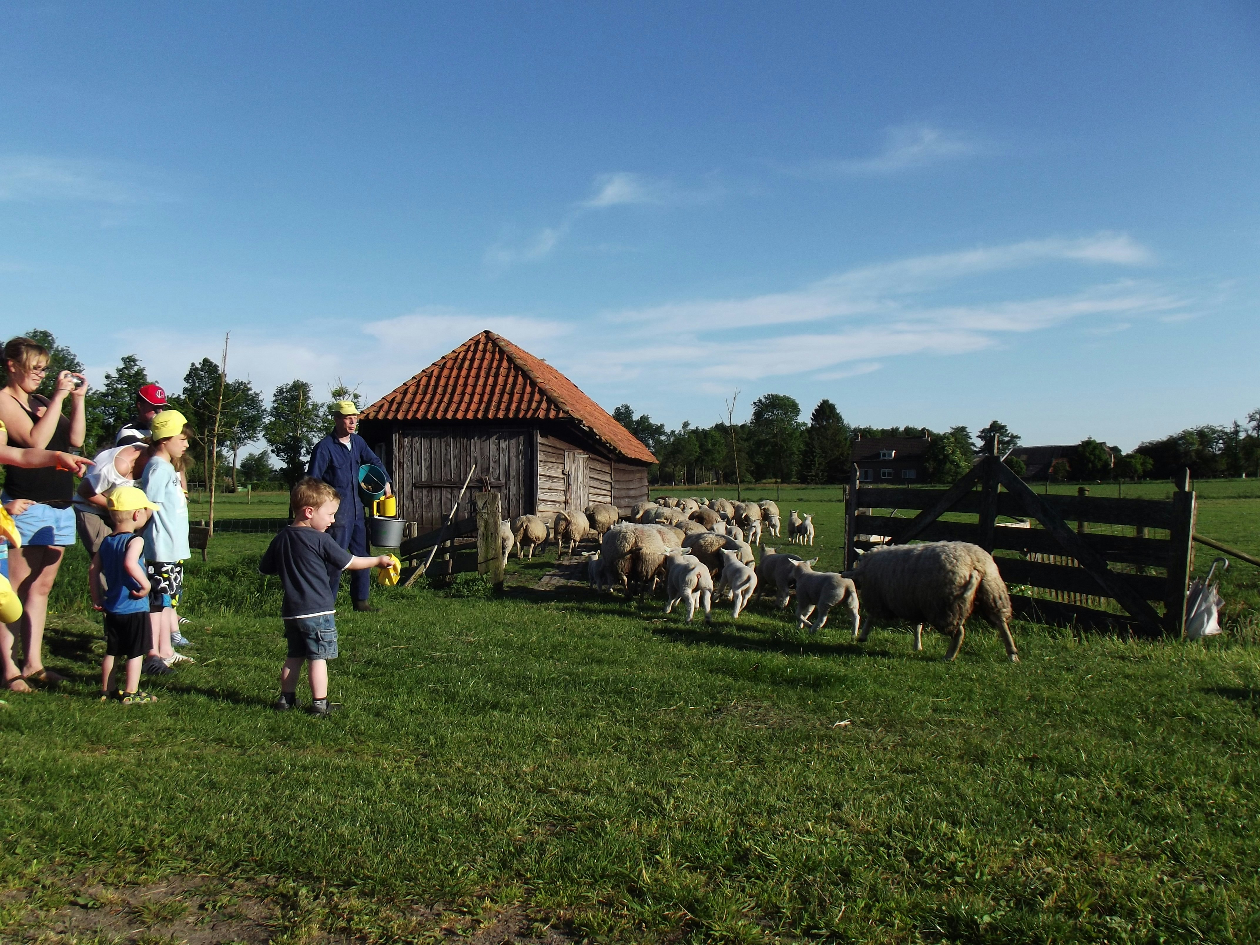 Camping De Kuupershoek