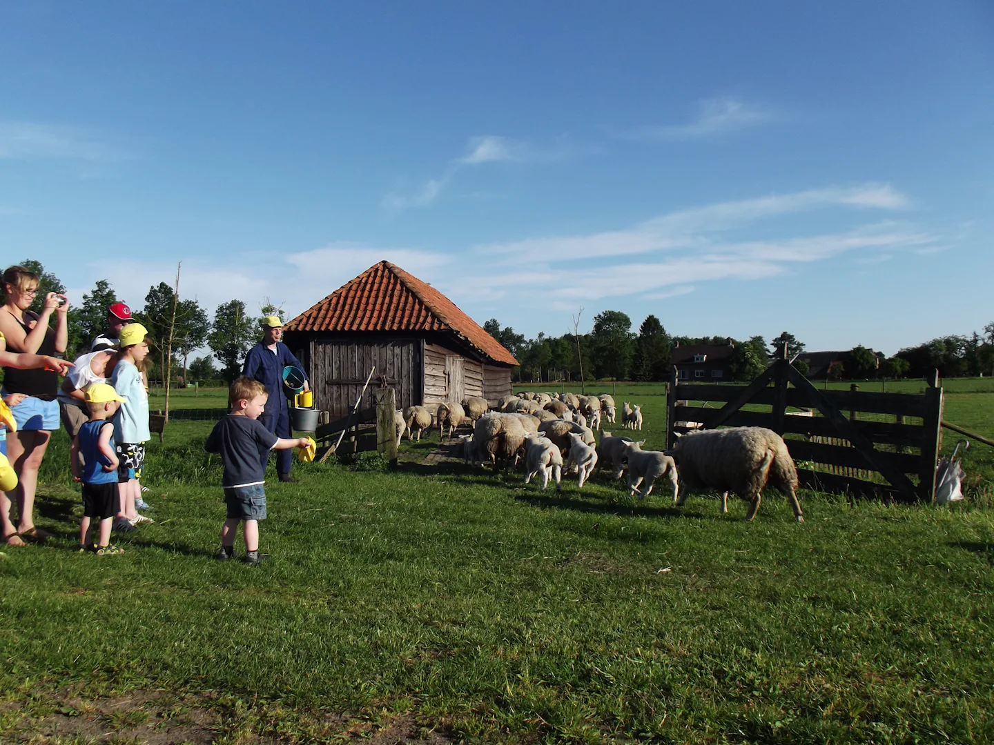 Camping De Kuupershoek