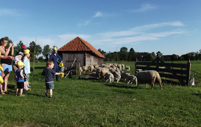 Camping De Kuupershoek