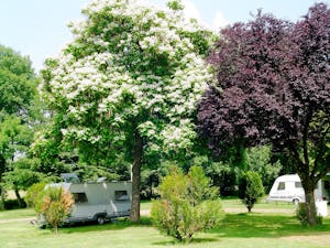 Camping de l'Ardan