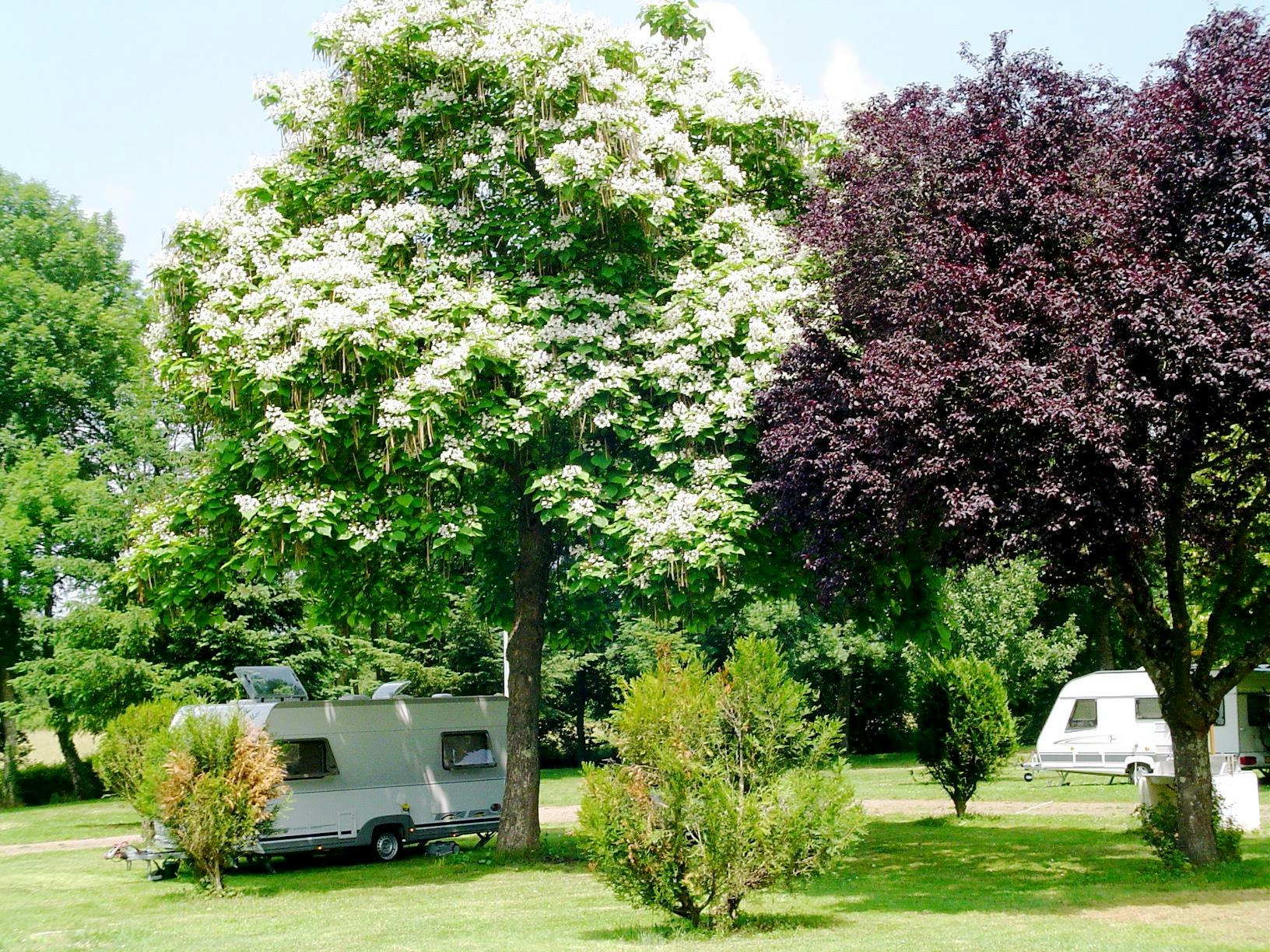 Camping de l'Ardan
