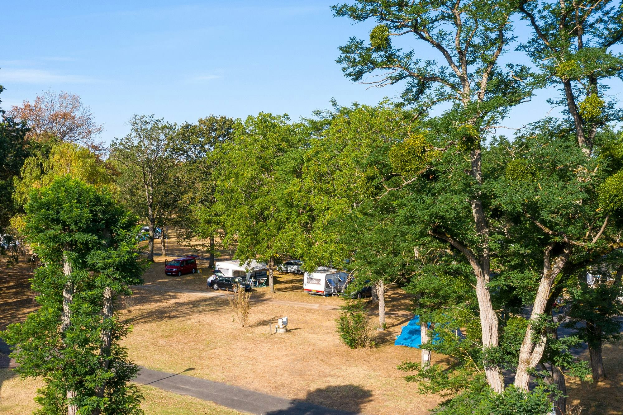 Camping de L'Île - Standplätze zwischen den Bäumen auf dem Campingplatz