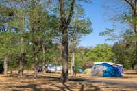 Camping de l' Ile - Zelt- und Stellplätze im Schatten der Bäume