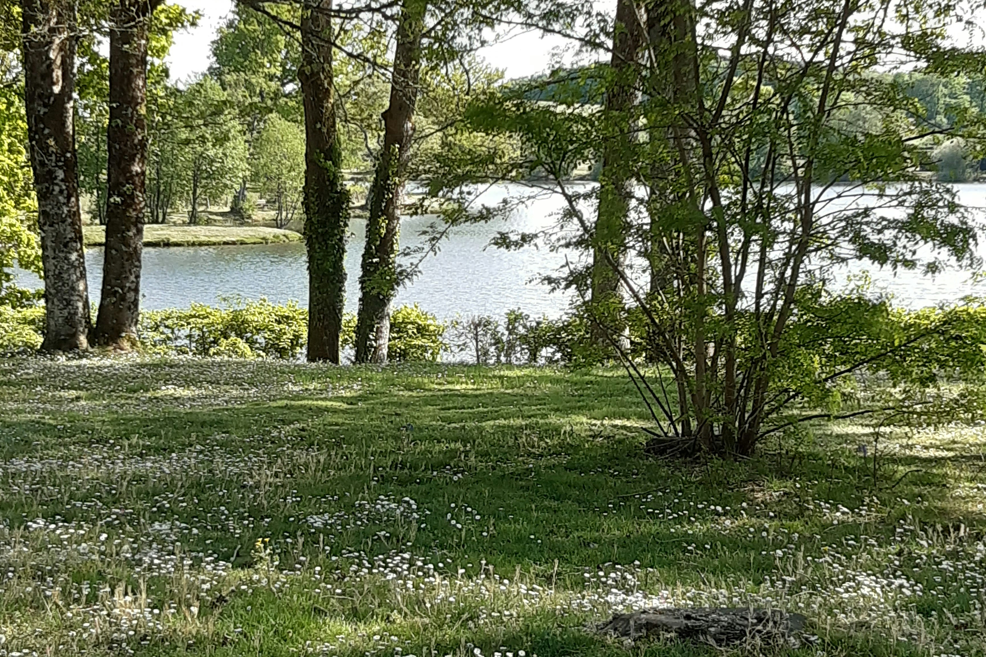 Camping de L'Étang du Goulot  Camping de L' Étang du Goulot - Blick auf die Wiese am See