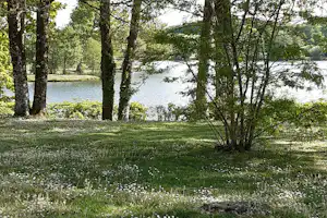 Camping de L'Étang du Goulot Camping de L' Étang du Goulot - Blick auf die Wiese am See