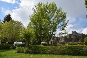 Camping de la Belle Etoile - Standplätze auf dem Campingplatz