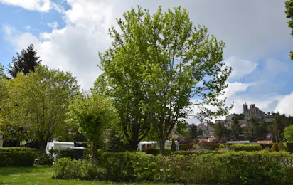 Camping de la Belle Etoile