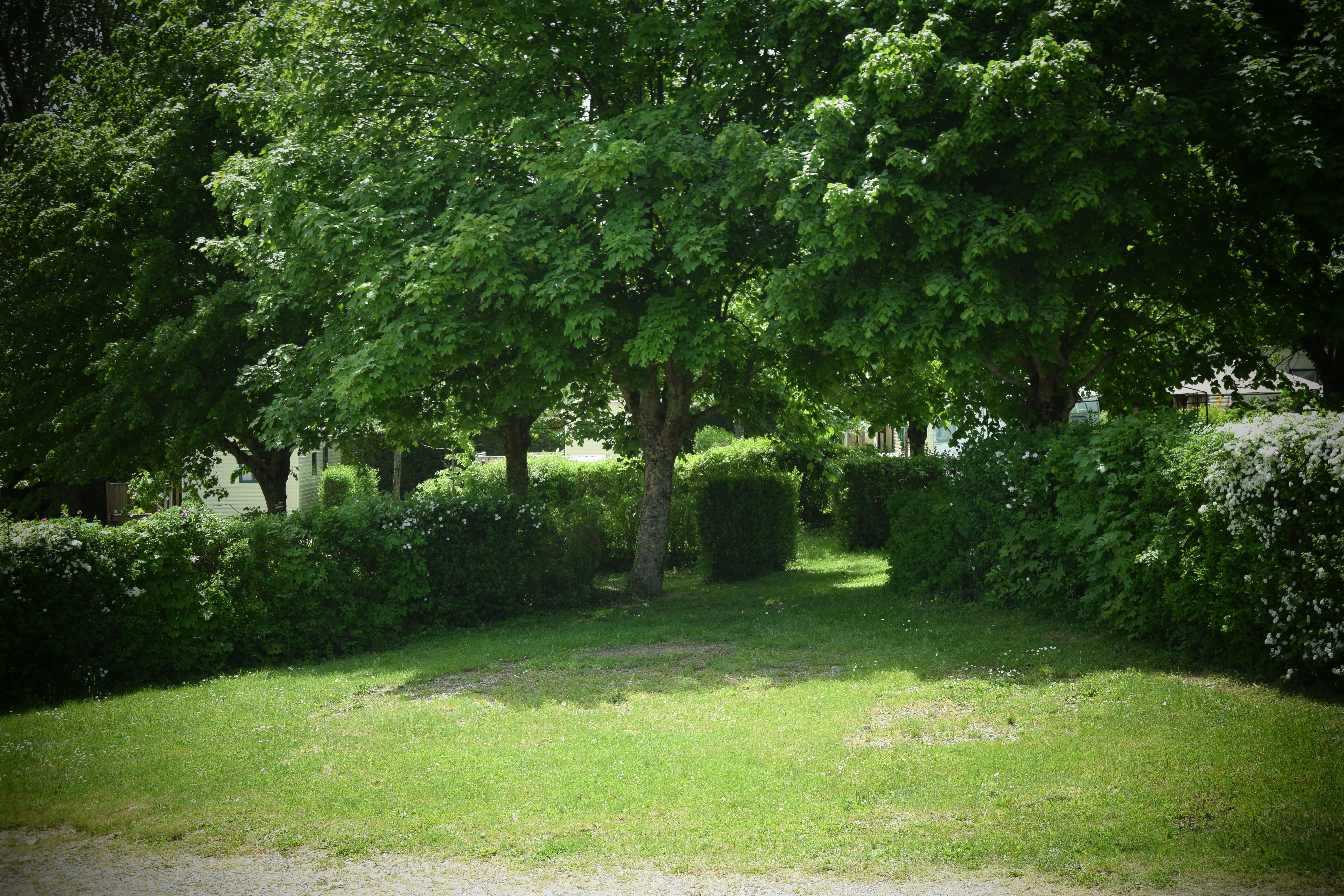 Camping de la Belle Etoile