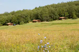 Camping de La Besse - Chalets mit großer grüner Lichtung
