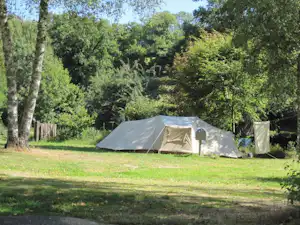 Zelte auf einem Campingplatz im Grünen, mit Grasfläche, Bäumen im Hintergrund und einem kleinen Tisch am Stellplatz.