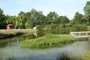 Ruhiger Fluss am Campingplatz mit Grasufer, Bäumen und einem kleinen überdachten Bereich am Rand.