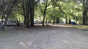 Campingplatz mit Stellplätzen im Wald, mehrere Wohnmobile und ein Wohnwagen zwischen Bäumen am gepflasterten Weg.