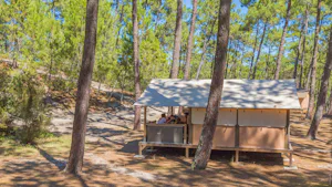 Camping de la Dune Bleue - Glamping-Zelte zwischen den Bäumen auf dem Campingplatz