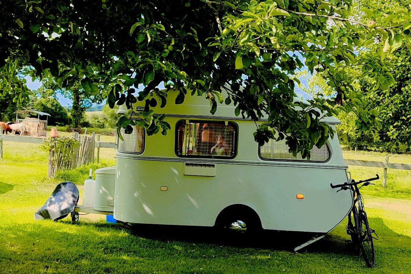 Camping de la Ferme de Croas-Men - Wohnmobil- und Wohnwagenstandplätze auf der Wiese