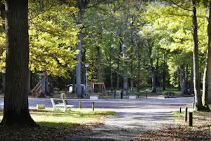 Waldweg auf einem Campingplatz zwischen hohen Bäumen, mit Liegestühlen und kleinen Betonblöcken am Rand.