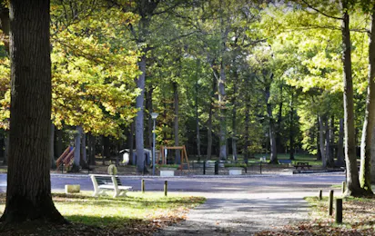 Camping de la Forêt (Montargis)