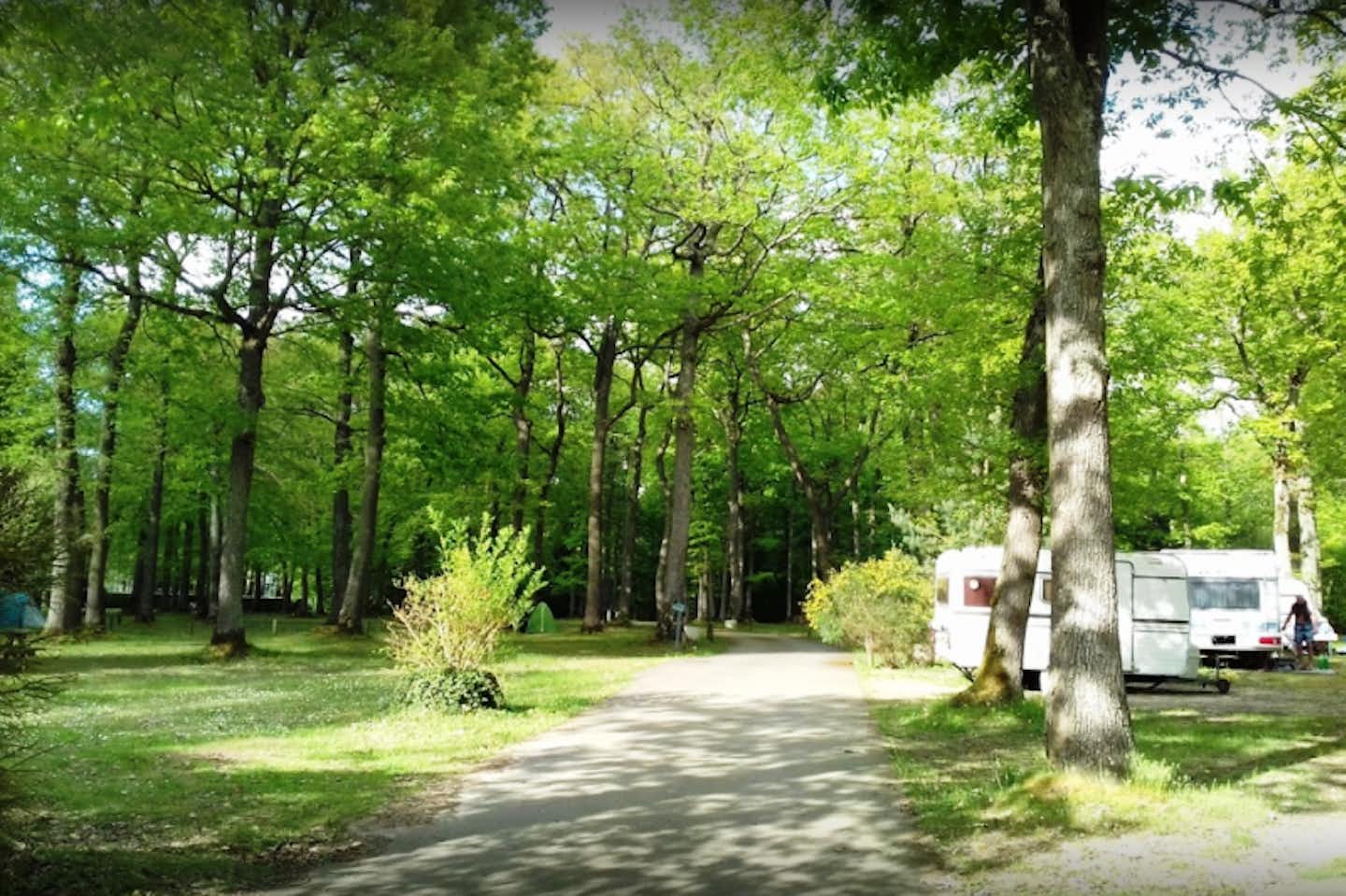 Camping de la Forêt  -  Stellplatz vom Campingplatz im Grünen