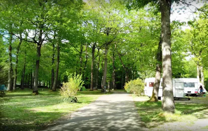 Camping de la Forêt (Montargis)
