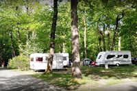 Camping de la Forêt  -  Wohnwagen und Wohnmobil auf grüner Wiese auf dem Campingplatz