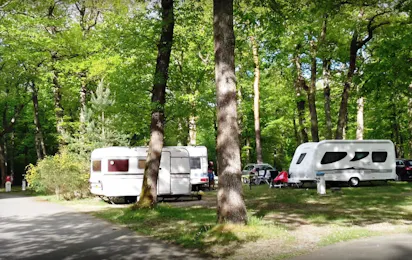 Camping de la Forêt (Montargis)