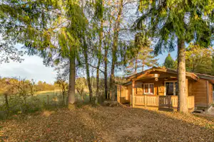 Camping de la Forêt - Chalet mit Veranda im Grünen auf dem Campingplatz