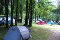 Camping de la Forêt - Zeltplatz im Schatten der Bäume