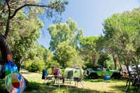 Camping de la Plage  -  Wohnwagen- und Zeltstellplatz vom Campingplatz auf grüner Wiese