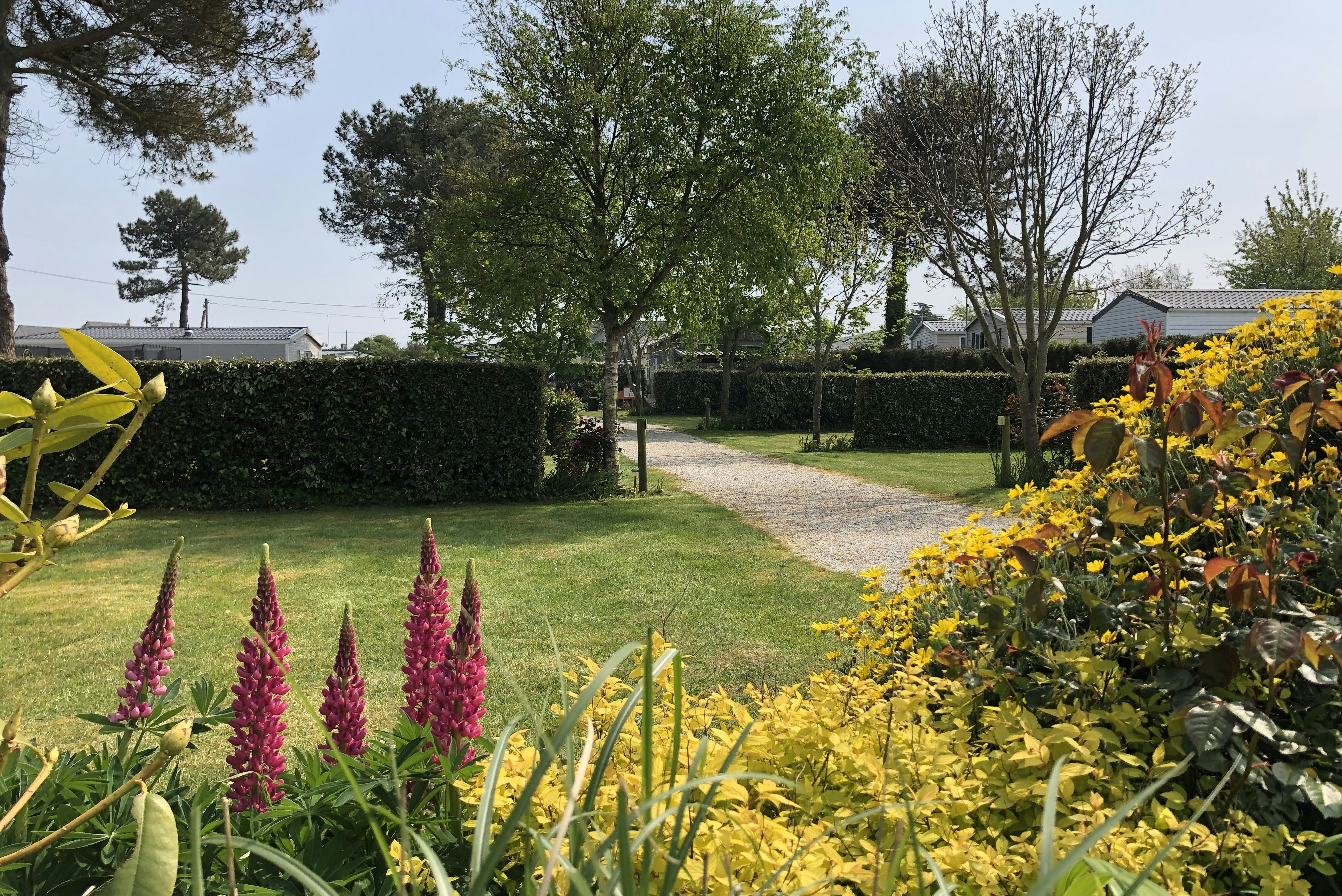 Camping de la Plage de Fermanville