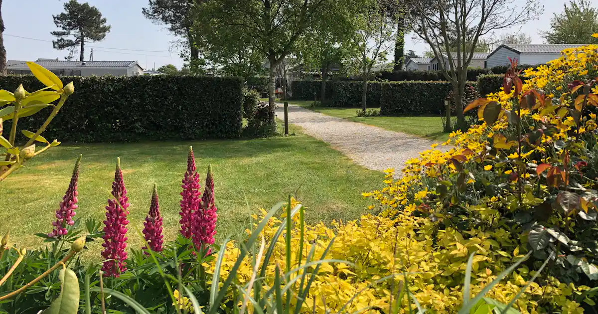 Camping de la Plage de Fermanville photo 5
