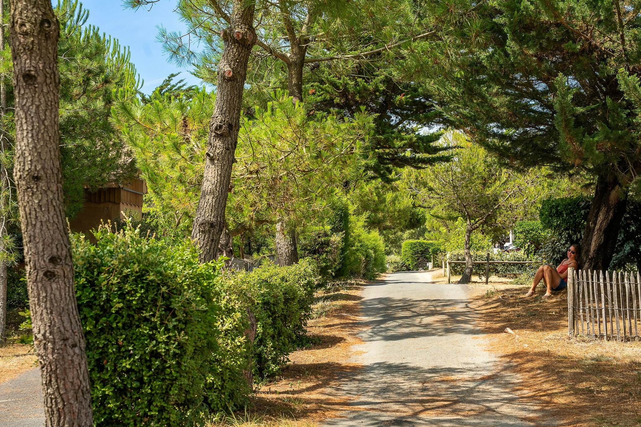 Camping de la Plage de Riez - Blick auf eine Allee auf dem Campingplatz
