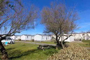Wohnwagen und Stellplätze auf einem Campingplatz, Rasenfläche mit Bäumen und Hecke, im Hintergrund weiße Gebäude und Fahrzeuge.