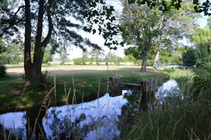 Teich mit ruhigem Wasser, Steinen und Schilf im Vordergrund, dahinter Wiese und hohe Bäume.