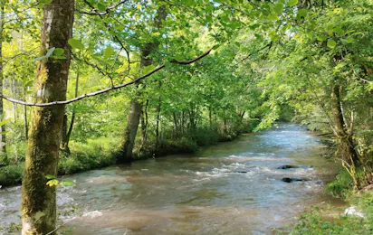 Camping de la Pra