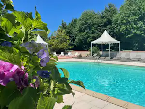 Blühende Pflanzen im Vordergrund, dahinter ein Swimmingpool mit Liegen und Sonnenschirm auf einer Campinganlage.