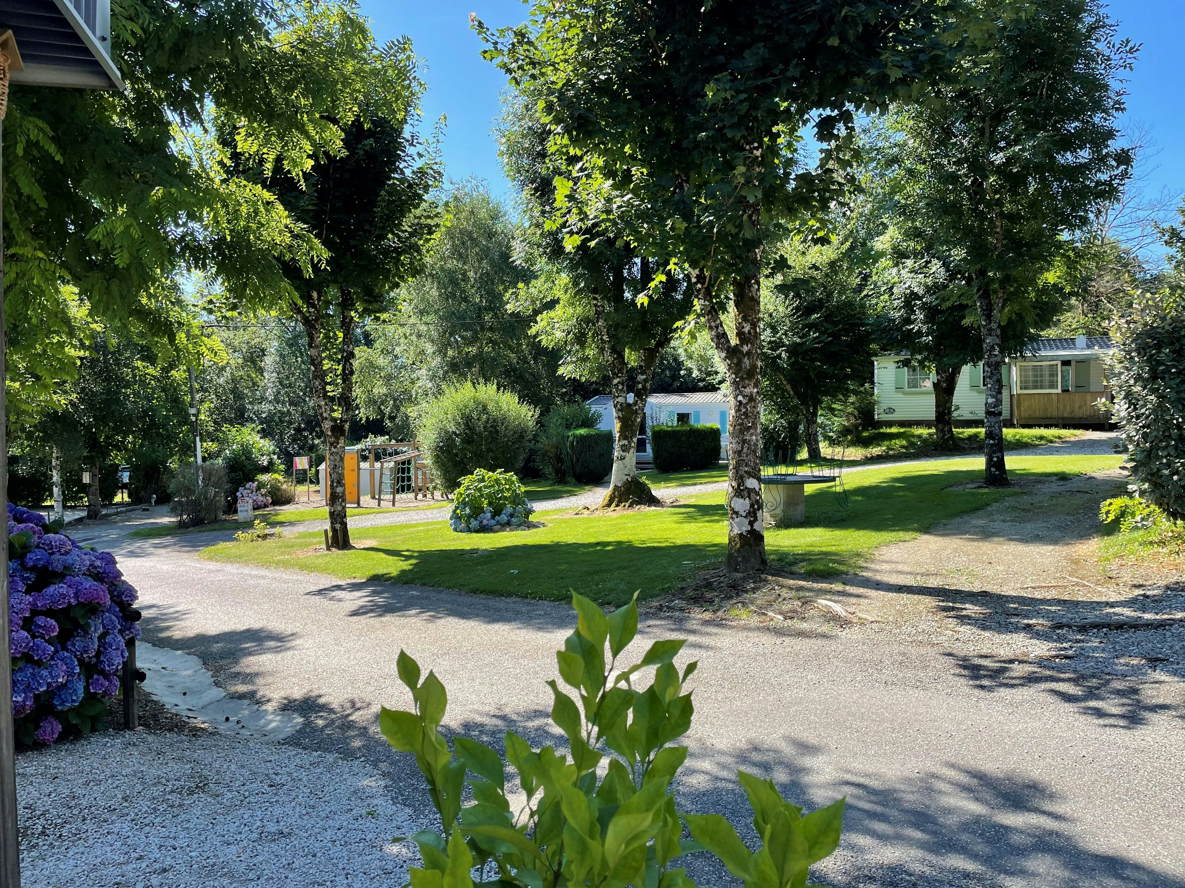 Campingweg zwischen Bäumen und gepflegtem Rasen, im Hintergrund Wohnwagen und mobile Unterkünfte.