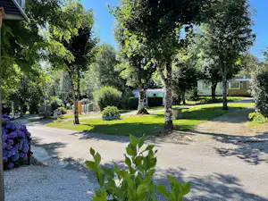 Campingweg zwischen Bäumen und gepflegtem Rasen, im Hintergrund Wohnwagen und mobile Unterkünfte.