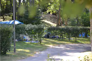 Zelte auf einer Wiese am Campingplatz, dahinter Bäume und ein Weg zwischen den Stellplätzen im Wald.