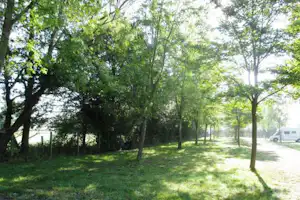 Campingweg im Grünen mit Bäumen und Rasenfläche, rechts ein Wohnmobil am Straßenrand.