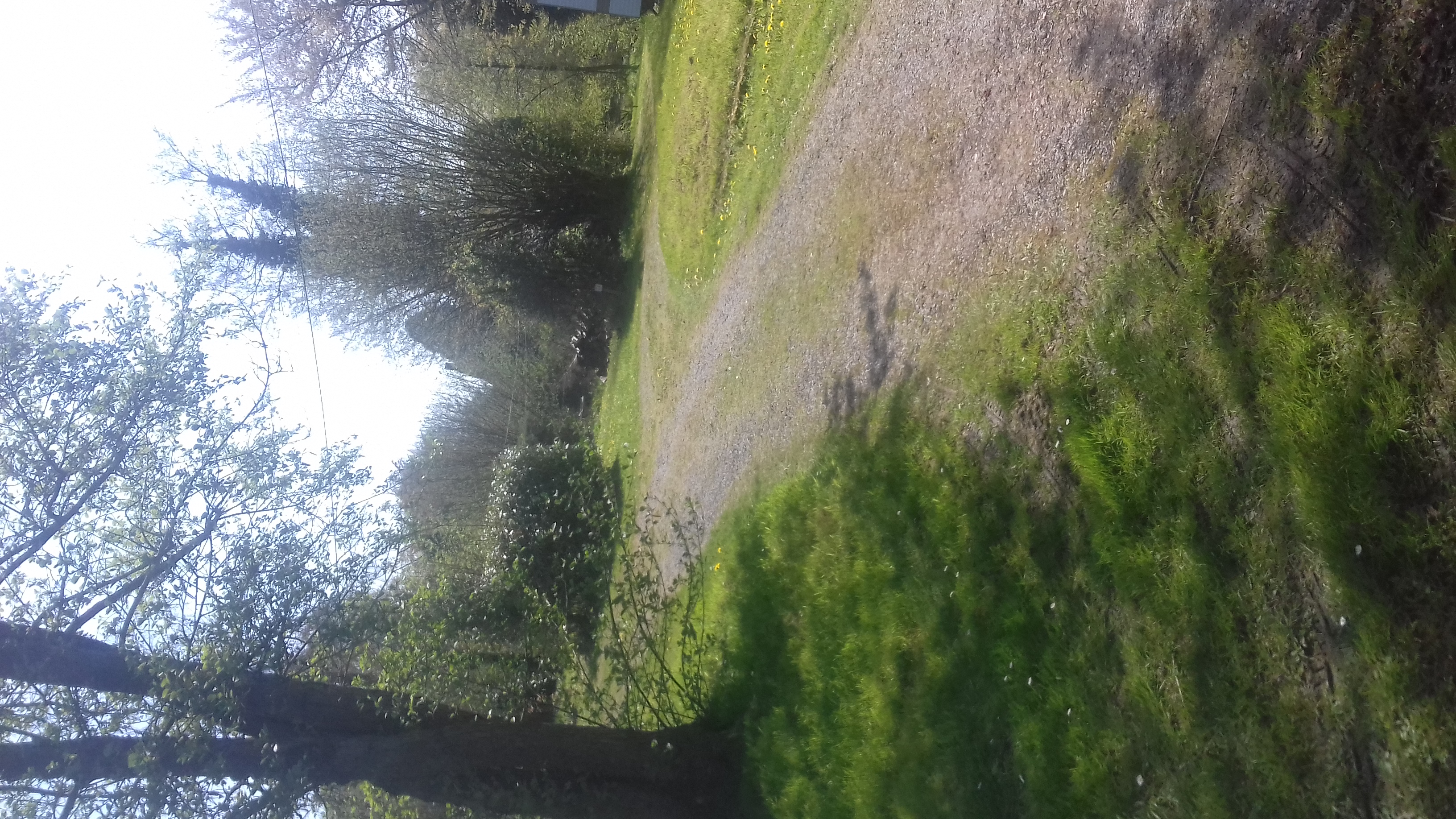 Camping de la Sablière