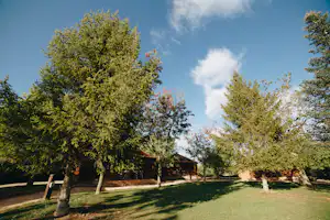 Camping de la Vall d'Àger - Mobilheime vom Campingplatz zwischen Bäumen