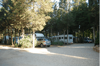 Camping de La Vallée de Taradeau - Stellplätze im Schatten der Bäume