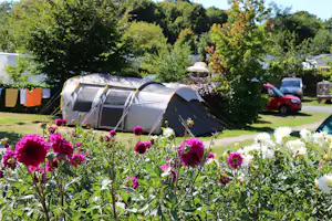 Campingzelt auf dem Rasen, im Vordergrund bunte Dahlien, im Hintergrund Hecken, Sonnenschirm und geparkte Autos.