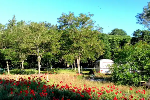 Camping de l'Arche (Lanas)