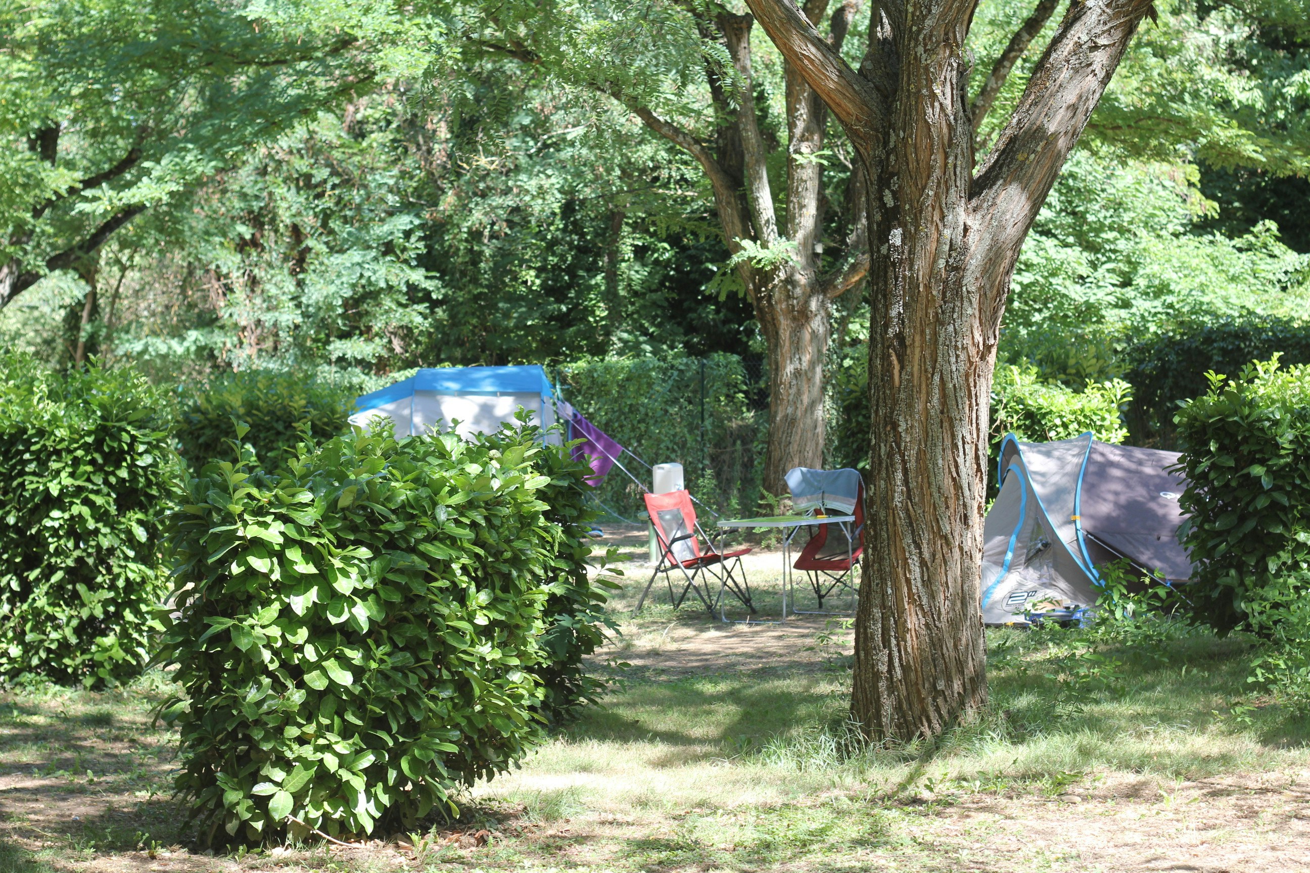Camping de l'Ardèche - Zeltplatz im Grünen