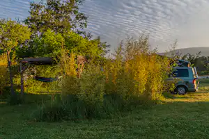 Camping-Van steht am Weg im Grünen, umgeben von Büschen und Bäumen, im Hintergrund ein bewölkter Himmel.